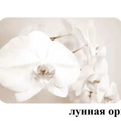 БОСТОН опоры Брифинг в Чебаркуле - chebarkul.mebel24.online | фото 18