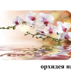 БОСТОН опоры Брифинг в Чебаркуле - chebarkul.mebel24.online | фото 21
