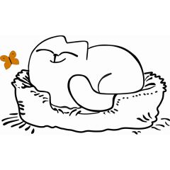 Кровать двухуровневая Кот № 900.1 ПРАВАЯ (туя светлая/белый) в Чебаркуле - chebarkul.mebel24.online | фото 2