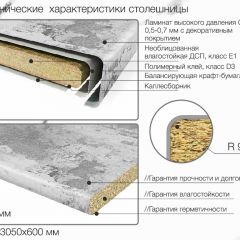 Кухонный фартук со столешницей (А-01) в едином стиле (3050 мм) в Чебаркуле - chebarkul.mebel24.online | фото 6