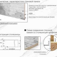 Кухонный фартук со столешницей (А-010) в едином стиле (3050 мм) в Чебаркуле - chebarkul.mebel24.online | фото 6