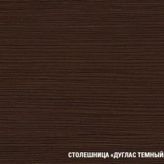 Кухонный гарнитур Лоретта мега 2500 мм в Чебаркуле - chebarkul.mebel24.online | фото 6