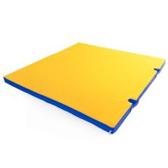 Мат гимнастический 1х1х0,05м с вырезом под стойки цв. синий-желтый в Чебаркуле - chebarkul.mebel24.online | фото