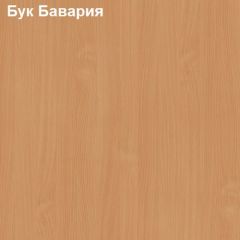 Надставка к столу компьютерному низкая Логика Л-5.1 в Чебаркуле - chebarkul.mebel24.online | фото 2