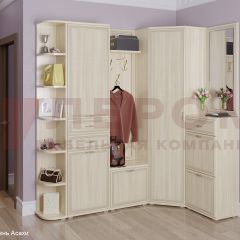 Прихожая Карина композиция 5 (Ясень Асахи) в Чебаркуле - chebarkul.mebel24.online | фото