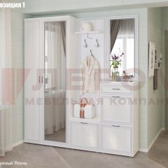 Прихожая Карина (модульная) в Чебаркуле - chebarkul.mebel24.online | фото 3