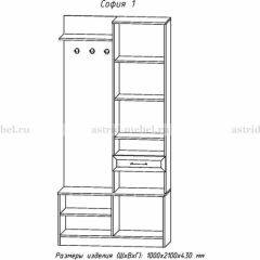 Прихожая София 1 в Чебаркуле - chebarkul.mebel24.online | фото 3