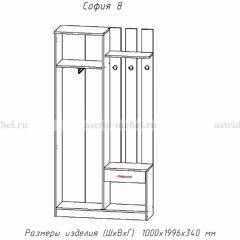 Прихожая София 8 в Чебаркуле - chebarkul.mebel24.online | фото 2