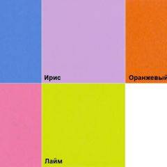 Шкаф 2-х створчатый с ящиками (1000) в Чебаркуле - chebarkul.mebel24.online | фото 5