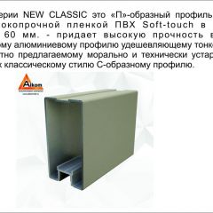 Шкаф-купе 1500 серии NEW CLASSIC K3+K3+B2+PL1 (2 ящика+1 штанга) профиль «Капучино» в Чебаркуле - chebarkul.mebel24.online | фото 5