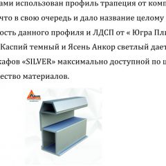 Шкаф-купе 1500 серии SILVER S1+S1+B2+PL2 (2 ящика+1 штанга+1 полка) профиль «Серебро» в Чебаркуле - chebarkul.mebel24.online | фото 4