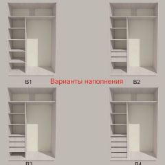 Шкаф-купе 1500 серии SILVER S1+S1+B2+PL2 (2 ящика+1 штанга+1 полка) профиль «Серебро» в Чебаркуле - chebarkul.mebel24.online | фото 5