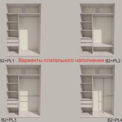 Шкаф-купе 1500 серии SILVER S1+S1+B2+PL2 (2 ящика+1 штанга+1 полка) профиль «Серебро» в Чебаркуле - chebarkul.mebel24.online | фото 6