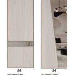 Шкаф-купе 1500 серии SILVER S1+S1+B2+PL2 (2 ящика+1 штанга+1 полка) профиль «Серебро» в Чебаркуле - chebarkul.mebel24.online | фото 11