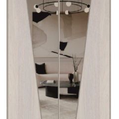 Шкаф-купе 1500 серии SILVER S1+S1+B2+PL2 (2 ящика+1 штанга+1 полка) профиль «Серебро» в Чебаркуле - chebarkul.mebel24.online | фото 12