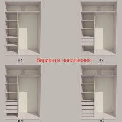 Шкаф-купе 1500 серии SILVER S3+S4+B2+PL4 (2 ящика+F обр.штанга) профиль «Серебро» в Чебаркуле - chebarkul.mebel24.online | фото 5
