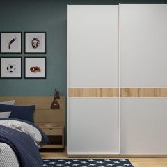 Шкаф-купе 1800 серии SOFT D6+D6+B2+PL3 (2 ящика+2штанги) профиль «Капучино» в Чебаркуле - chebarkul.mebel24.online | фото