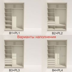 Шкаф-купе 1800 серии SOFT D6+D6+B2+PL3 (2 ящика+2штанги) профиль «Капучино» в Чебаркуле - chebarkul.mebel24.online | фото 6