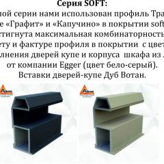 Шкаф-купе 1800 серии SOFT D6+D6+B2+PL3 (2 ящика+2штанги) профиль «Капучино» в Чебаркуле - chebarkul.mebel24.online | фото 12