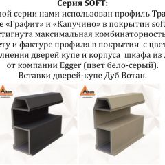 Шкаф-купе 2100 серии SOFT D4+D4+D4+B22+PL1 (по 2 ящика лев/прав+1штанга) профиль «Графит» в Чебаркуле - chebarkul.mebel24.online | фото 12