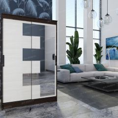 Шкаф - купе Элегант 3 в Чебаркуле - chebarkul.mebel24.online | фото