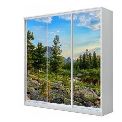 Шкаф-купе ХИТ 22-18-777 (620) в Чебаркуле - chebarkul.mebel24.online | фото