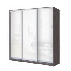 Шкаф-купе ХИТ 22-4-20/2-888 (420) в Чебаркуле - chebarkul.mebel24.online | фото 9