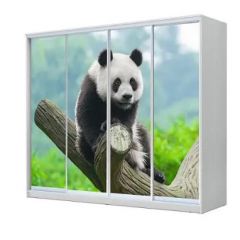 Шкаф-купе ХИТ 23-4-24/2-7777 (420) в Чебаркуле - chebarkul.mebel24.online | фото 1