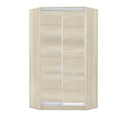 Шкаф-купе ХИТ-У-L-22-64-11 в Чебаркуле - chebarkul.mebel24.online | фото 7