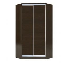 Шкаф-купе ХИТ-У-L-22-64-11 в Чебаркуле - chebarkul.mebel24.online | фото 11