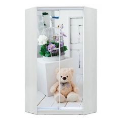 Шкаф-купе ХИТ-У-L-24-64-77 в Чебаркуле - chebarkul.mebel24.online | фото