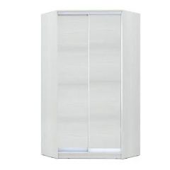 Шкаф-купе ХИТ-У-R-24-64-11 в Чебаркуле - chebarkul.mebel24.online | фото