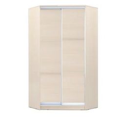 Шкаф-купе ХИТ-У-R-24-64-11 в Чебаркуле - chebarkul.mebel24.online | фото 7