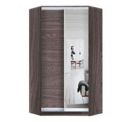 Шкаф-купе ХИТ-У-R-24-64-15 в Чебаркуле - chebarkul.mebel24.online | фото 11