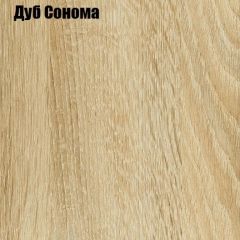 Шкаф-купе Лофт 3000 Шк30-47 (Дуб Сонома) в Чебаркуле - chebarkul.mebel24.online | фото 4