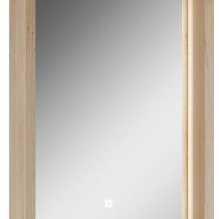 Шкаф-зеркало Nice 45 с подсветкой Домино (DN4704HZ) в Чебаркуле - chebarkul.mebel24.online | фото