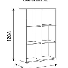 Стеллаж Мини 6 в Чебаркуле - chebarkul.mebel24.online | фото 6