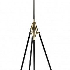 Светильник на штанге Lightstar Modena 816047 в Чебаркуле - chebarkul.mebel24.online | фото