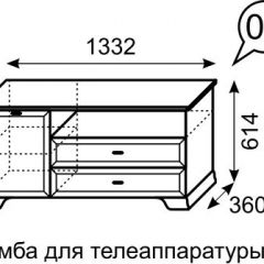 Тумба для телеаппаратуры Венеция 6 бодега в Чебаркуле - chebarkul.mebel24.online | фото 2