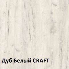 Юнона Шкаф торцевой 13.221 в Чебаркуле - chebarkul.mebel24.online | фото 3