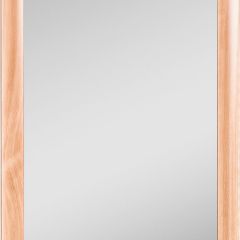 Зеркало МДФ профиль 1200х600 Бук Домино (DM9002Z) в Чебаркуле - chebarkul.mebel24.online | фото