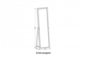 АЛЕКСАНДРИЯ-9.1 Зеркало напольное в Чебаркуле - chebarkul.mebel24.online | фото 2