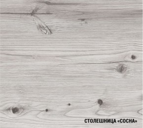 АСАЯ Кухонный гарнитур Прайм 2 400 (1100*2000 мм) ПМ в Чебаркуле - chebarkul.mebel24.online | фото 7