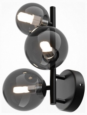 Бра Maytoni Dallas MOD545WL-03B в Чебаркуле - chebarkul.mebel24.online | фото 2