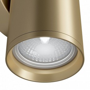 Бра Maytoni Focus S C068WL-02MG в Чебаркуле - chebarkul.mebel24.online | фото 4