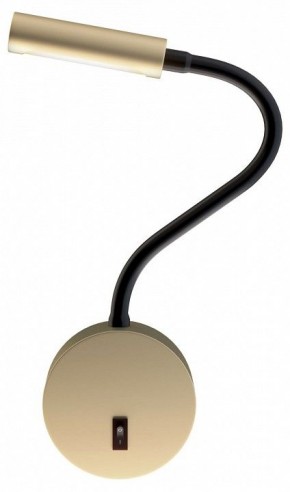 Бра Maytoni Stem C035WL-L3MG3K в Чебаркуле - chebarkul.mebel24.online | фото