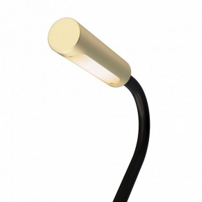 Бра Maytoni Stem C035WL-L3MG3K в Чебаркуле - chebarkul.mebel24.online | фото 6