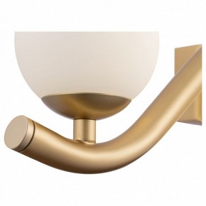 Бра Maytoni Uva MOD059WL-05G в Чебаркуле - chebarkul.mebel24.online | фото 3