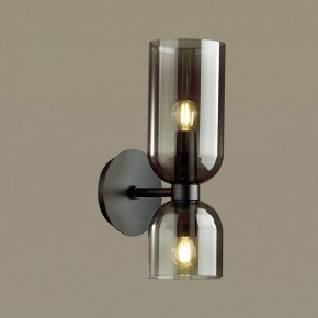 Бра Odeon Light Orinoco 4804/2W в Чебаркуле - chebarkul.mebel24.online | фото 2