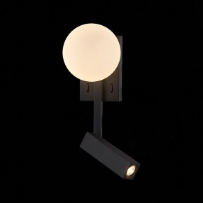 Бра с подсветкой ST-Luce Botelli SL1581.401.02 в Чебаркуле - chebarkul.mebel24.online | фото